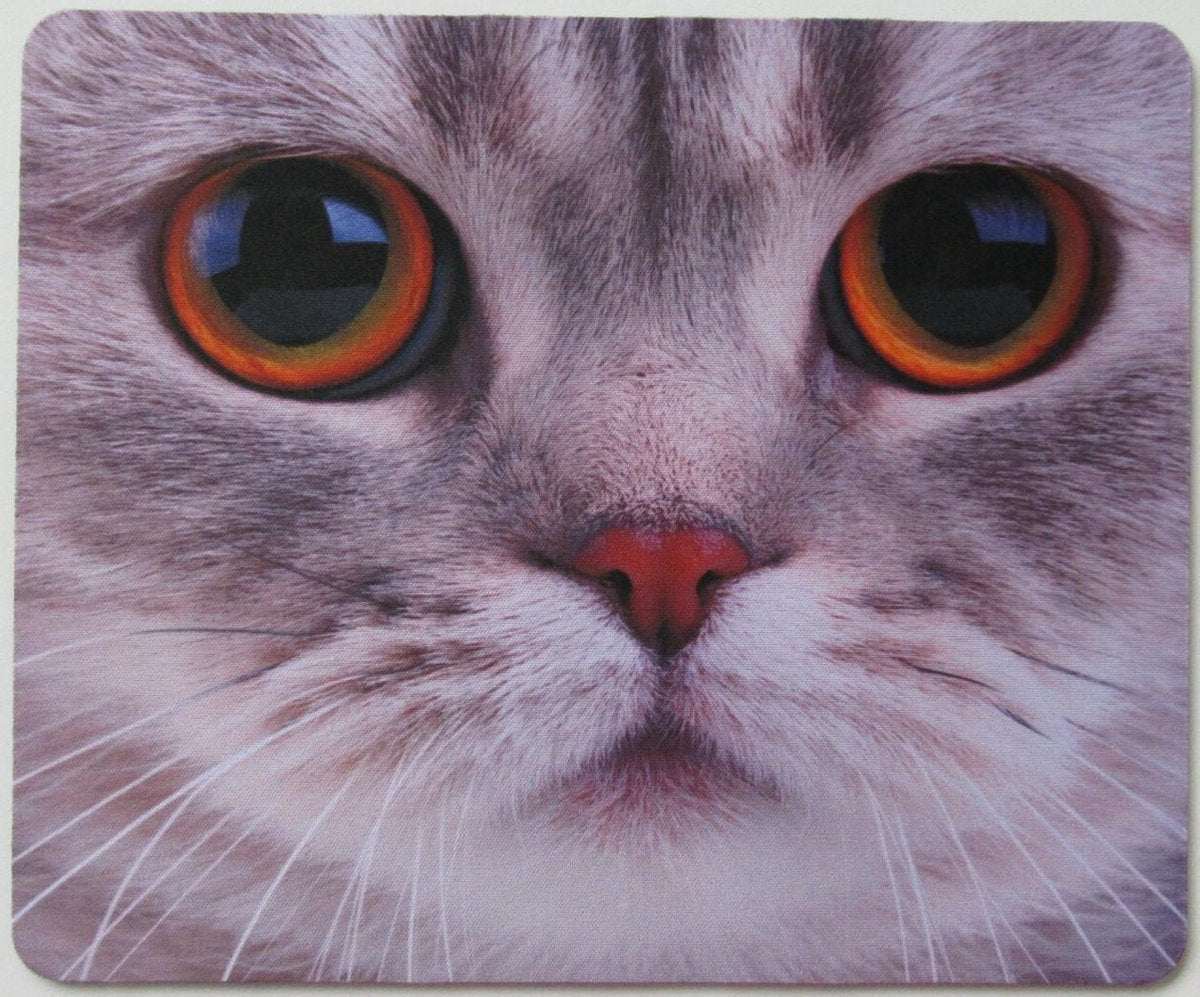 Kattenhebbedingen - Muismat - Kat - poes - Voor de kattenliefhebber - Grijs/witte kat