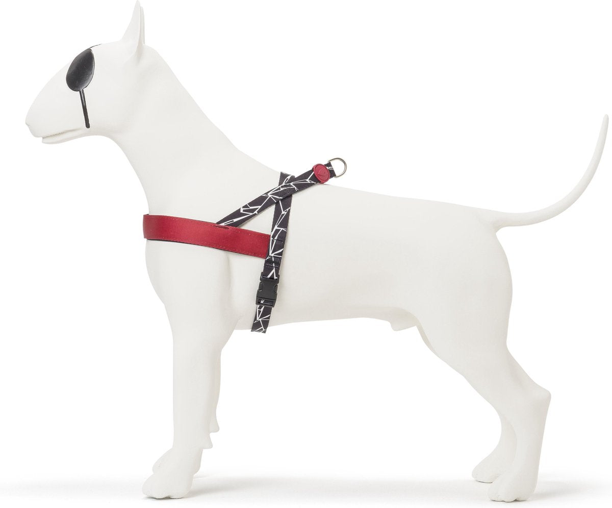 NORVEGIAN HARNESS L | Broken Self