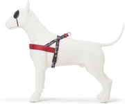 NORVEGIAN HARNESS L | Broken Self