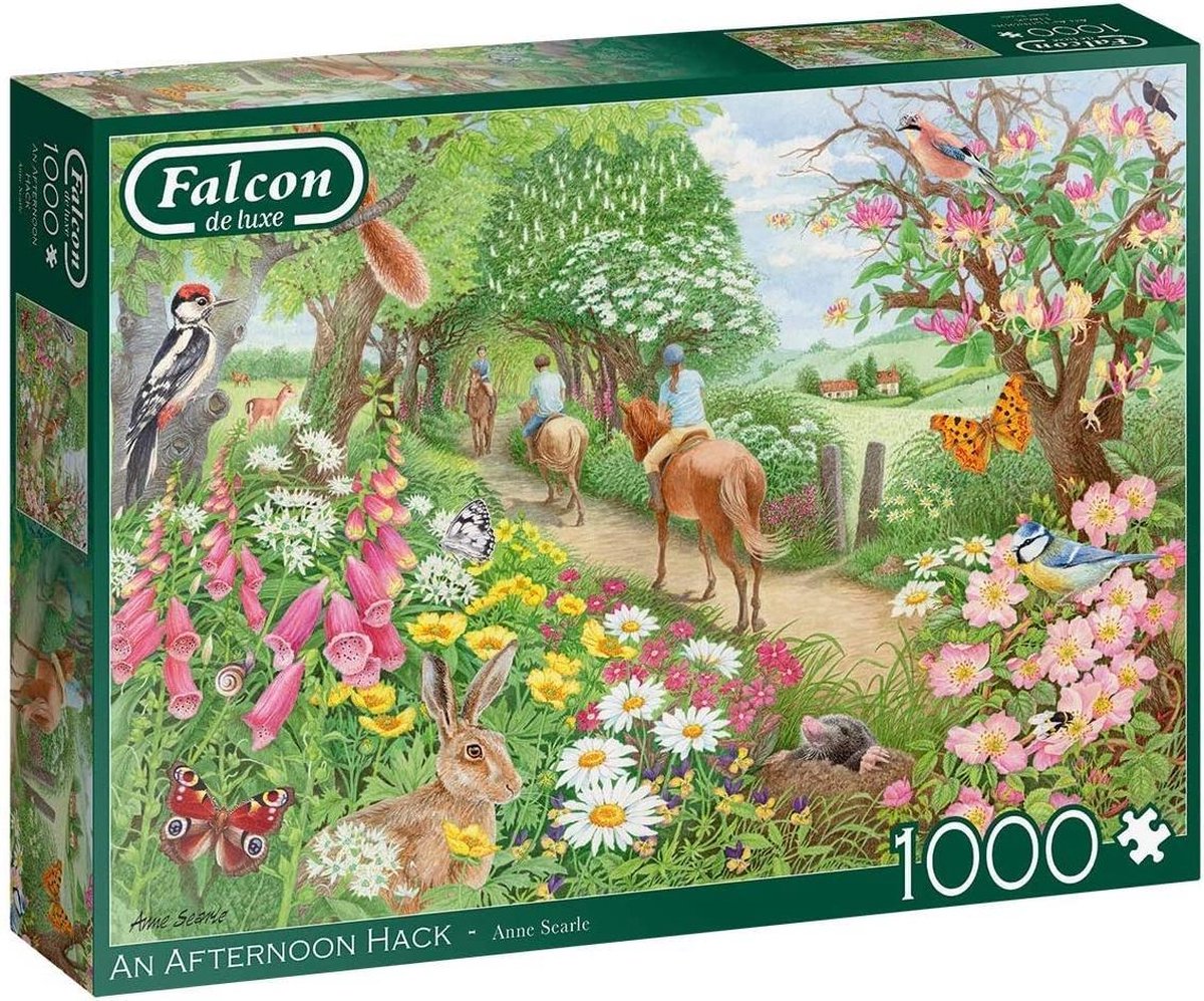 Falcon puzzel An Afternoon Hack - Legpuzzel - 1000 stukjes