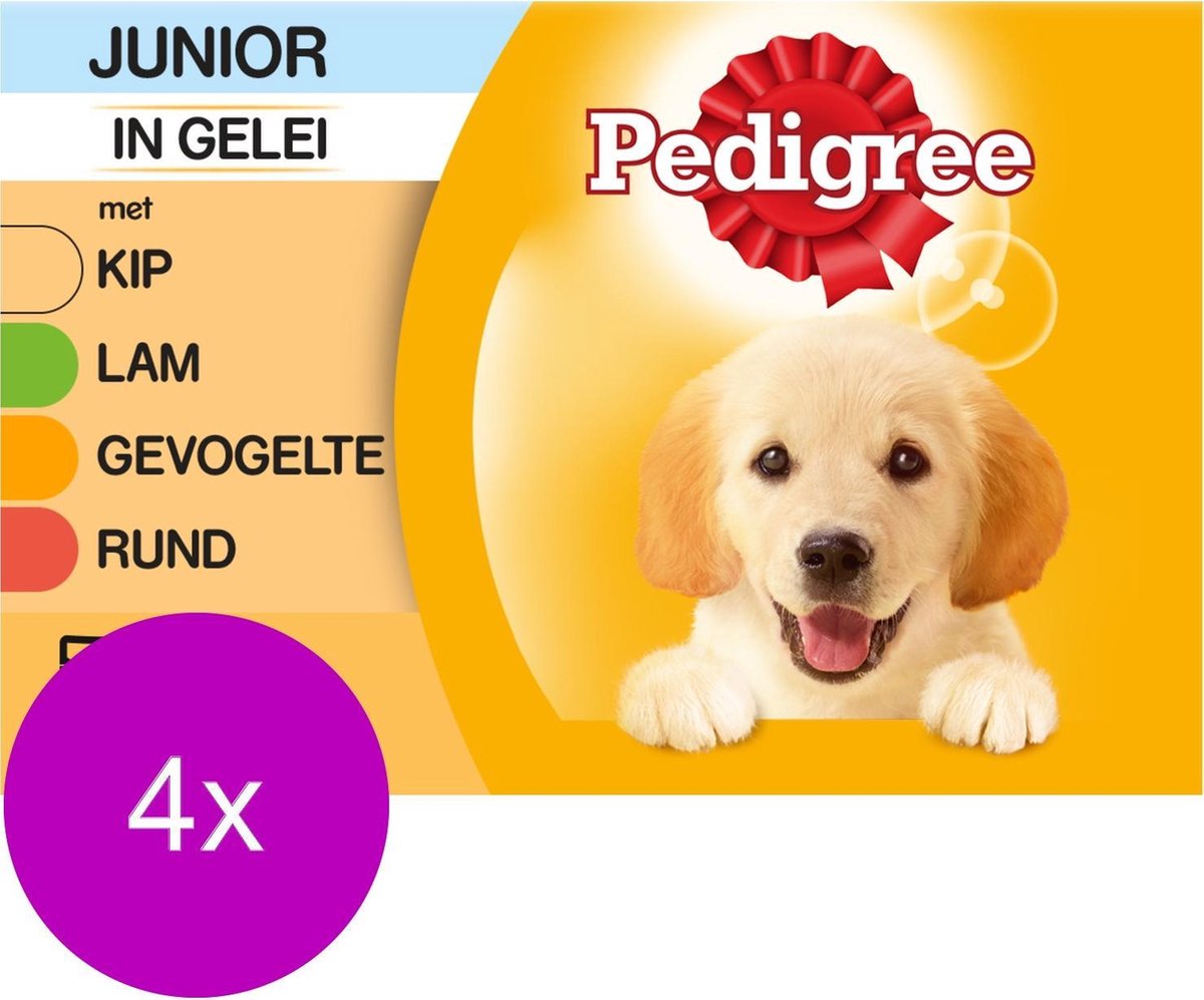 Pedigree Pouch Junior Multipack - Hondenvoer - 4 x 12x100 g