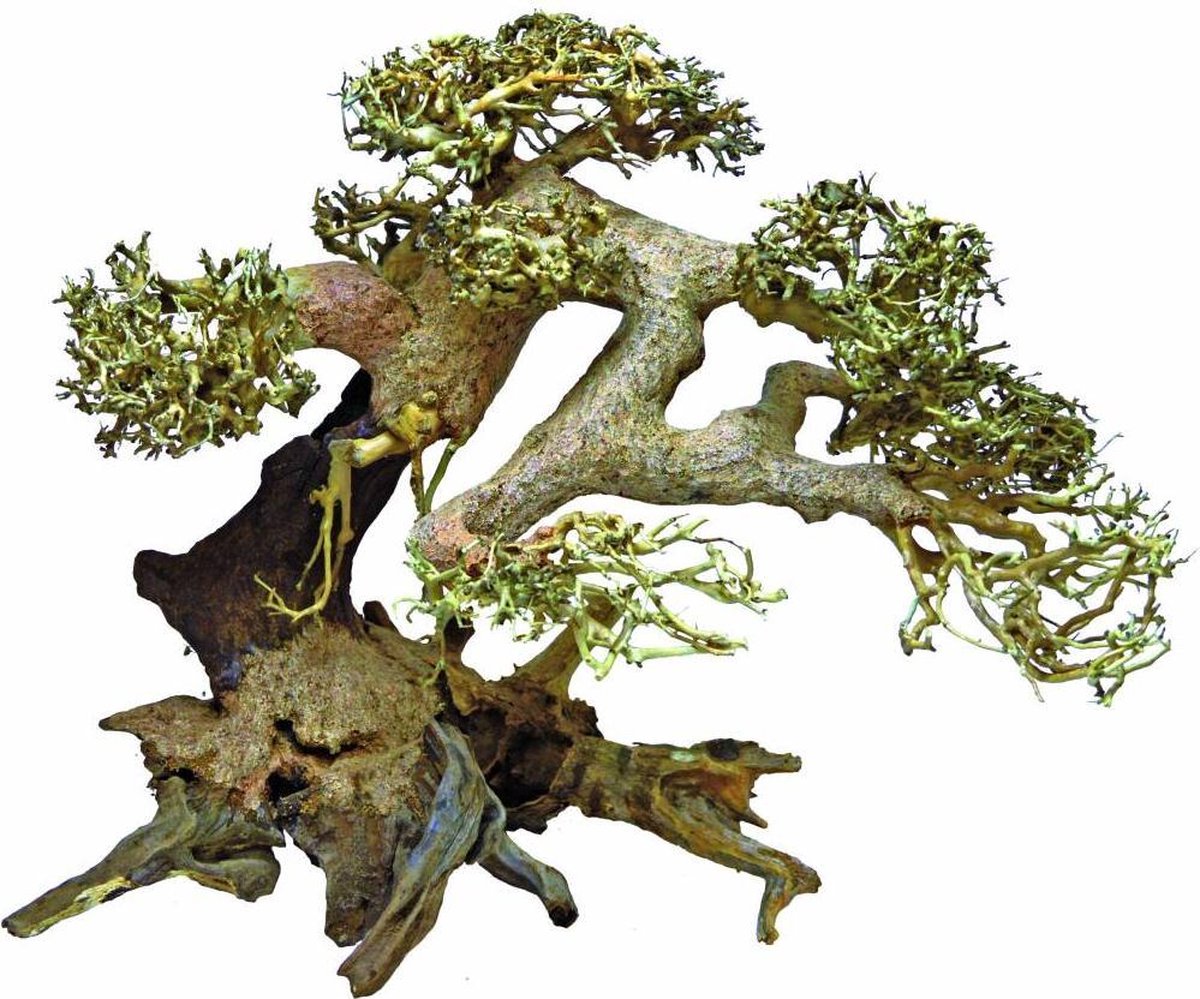 Bonsai Driftwood Aquariumdecoratie Large
