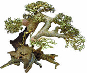 Bonsai Driftwood Aquariumdecoratie Large
