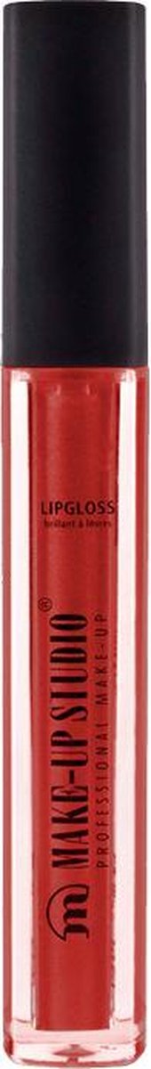 Make-up Studio Lip Gloss Paint - Rosewood