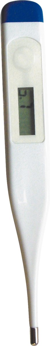 Travelsafe Thermometer