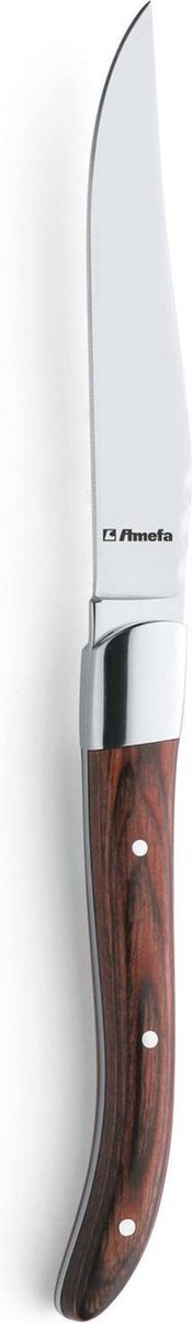 Steakmes zonder kartel Amefa 2520 Royal Steak 25 cm 18/10