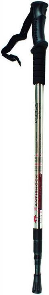 Atipick Wandelstok 63-135 Cm Aluminium Zilver