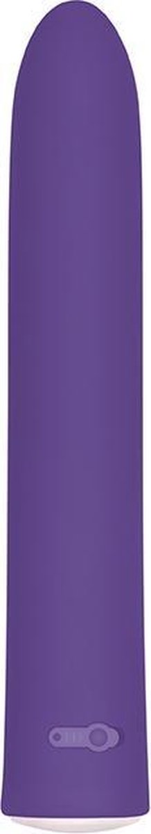 Evolved Rechargeable Slim Bullet Paars