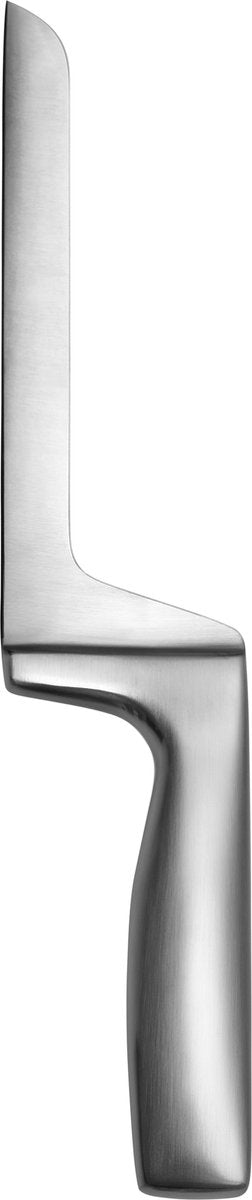 Iittala Collective Tools - Kaasmes - Geborsteld roestvrijstaal