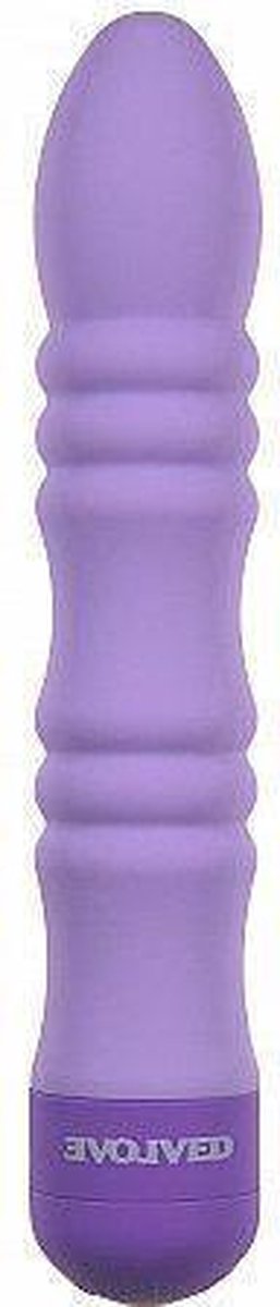 Evolved Vibrator Desire (Paars)