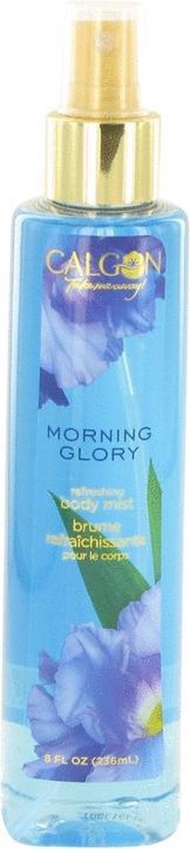 Calgon Take Me Away Morning Glory 240 ml - Body Mist Women