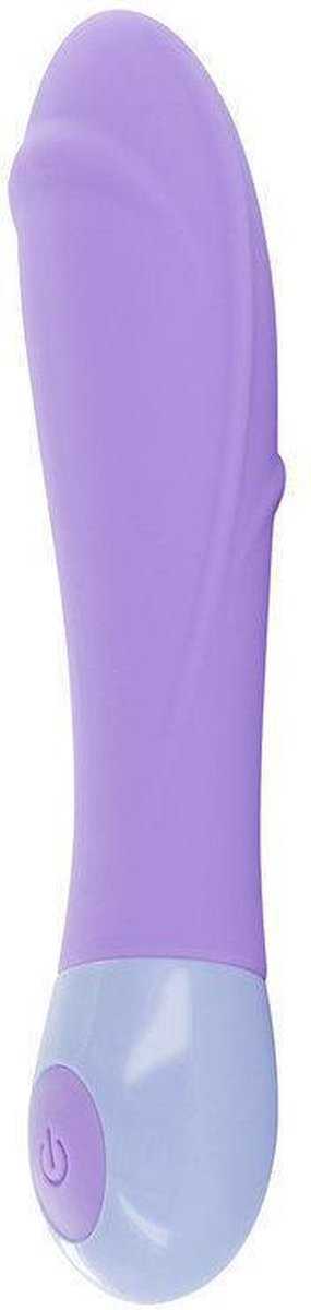 Shades Of Purple Seduction Vibrator Paars