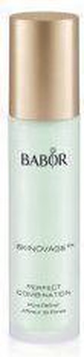 Babor Perfect Combination Pore Refiner