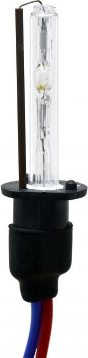 Xenon H1 Lamp 8000K