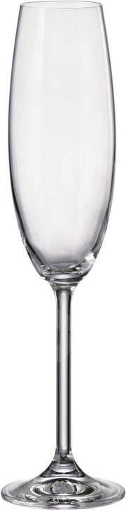 Bohemia Royal Crystal - 2for2 flute 230ml- set van 2
