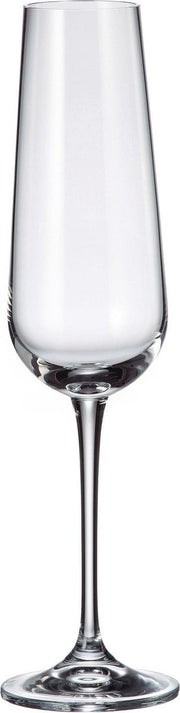 kristallen champagneglas Amundsen - 220 ml
