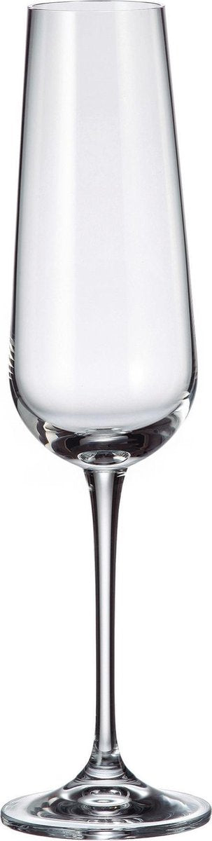 kristallen champagneglas Amundsen - 220 ml