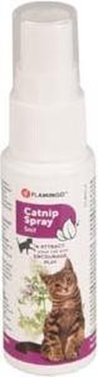 Catnip Spray - 25 ml
