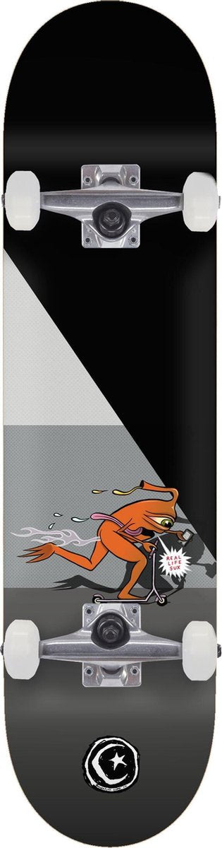 Foundation Templeton Push 8.25 compleet skateboard