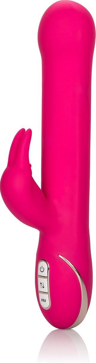 Jack rabbit signature pink