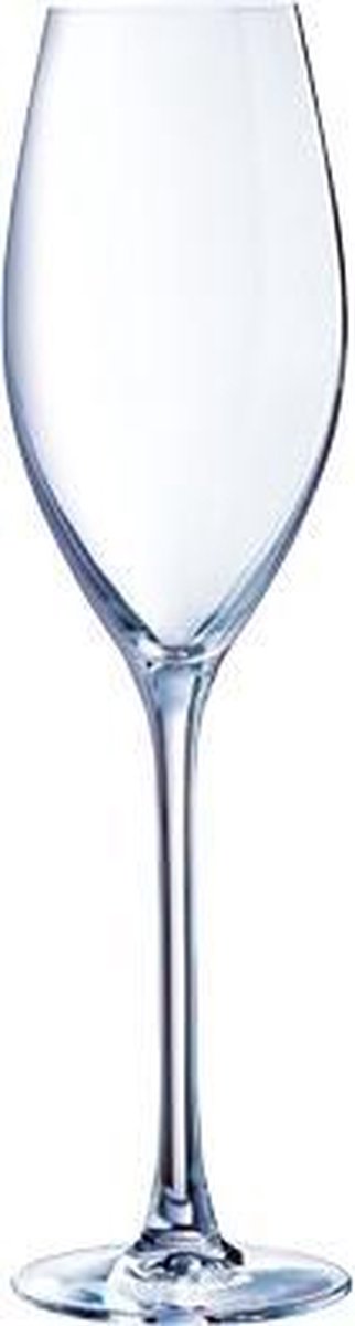 Grand cepage champagneglas - 24cl  - 6 stuks
