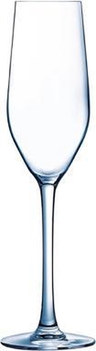 MINERAL CHAMPAGNEGLAS 16CL SET6 / LIFESTYLE