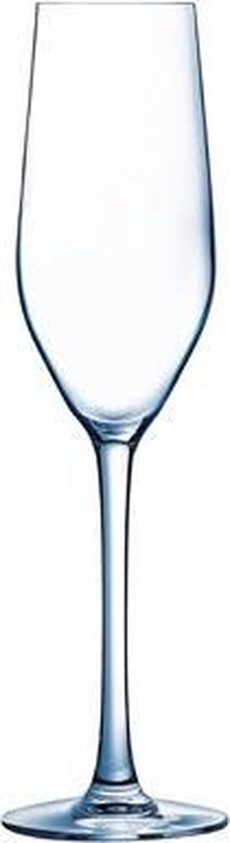Mineral champagneglas - 16cl  - 6 stuks