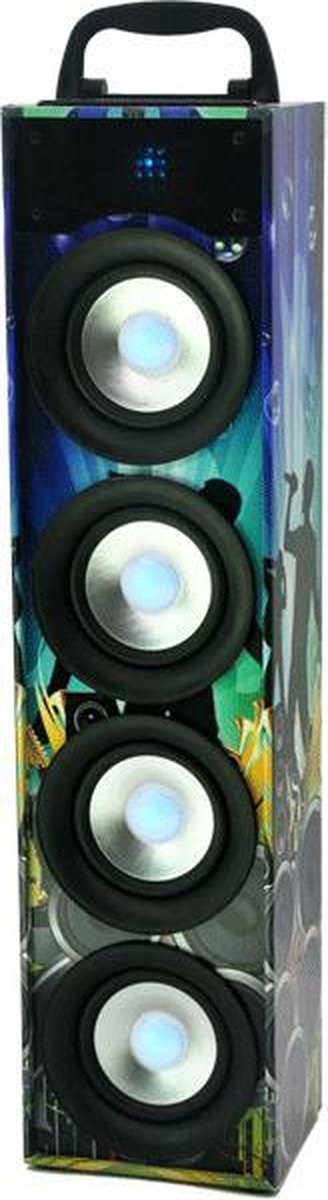 PARTY - 40 W Bluetooth Speaker met batterij