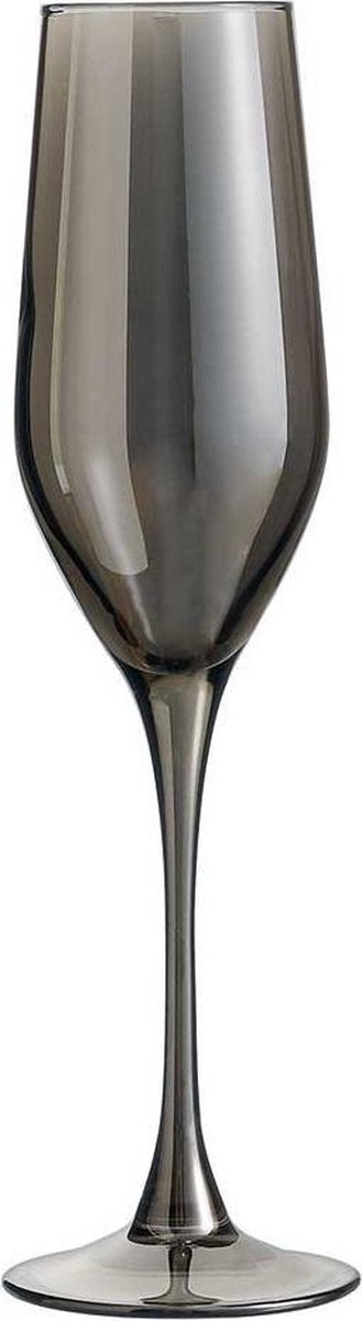 Shiny graphit champagneglas - champagneglazen - 16cl - grijs - 4 stuks