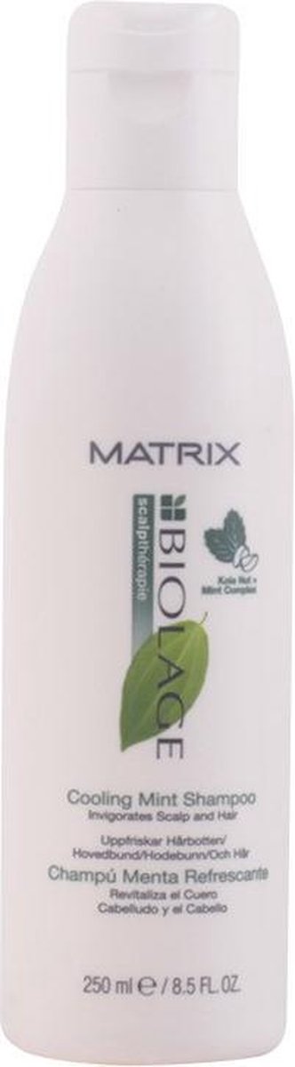 MULTI BUNDEL 2 stuks BIOLAGE SCALPTHERAPIE cooling mint shampoo 250 ml