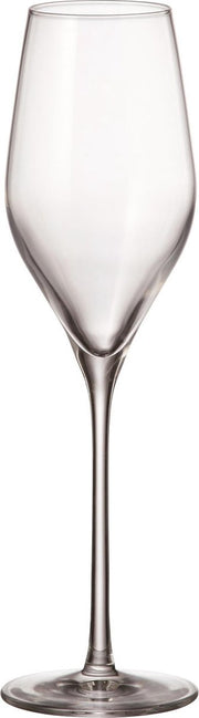 6 Kristallen Bohemia champagneglazen Avila 230ml