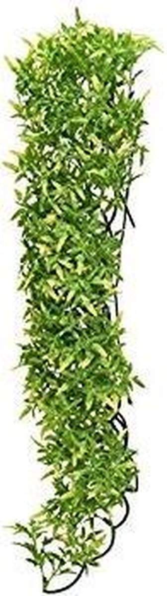 Zoomed Naturalistic Flora - Canabis - Large - terrariumplant