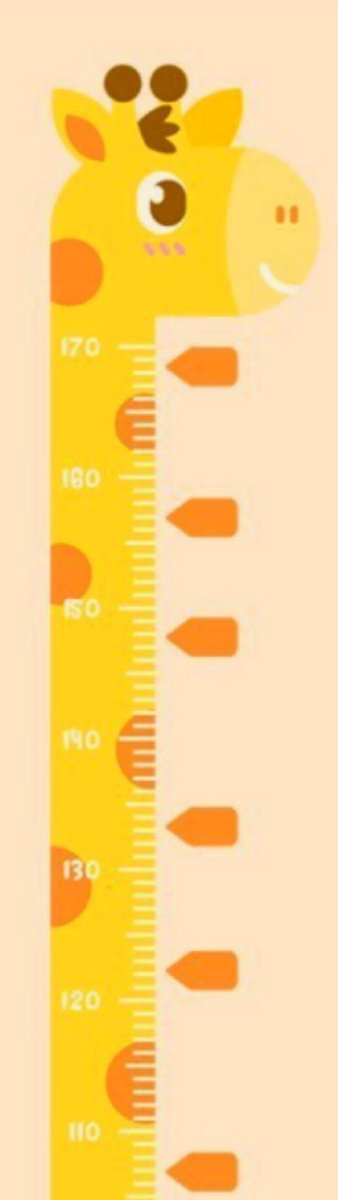 groeimeter sticker - muursticker - meetlat - kinderkamer decoratie - babykamer accessoires - Blijderij