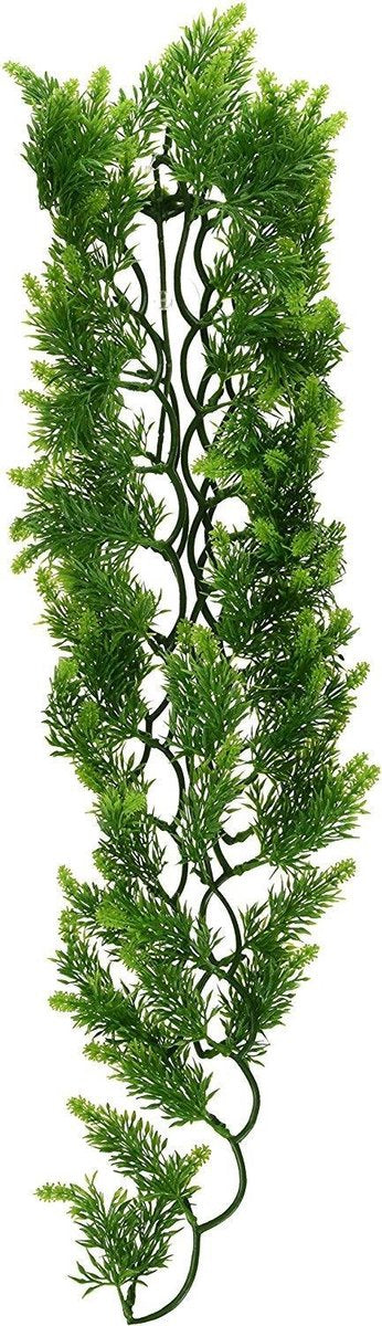 ZooMed - naturalistic flora - malaysian fern - small - terrariumplant