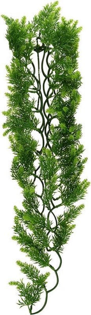 Zoomed Naturalistic Flora - Malasian Fern - Large