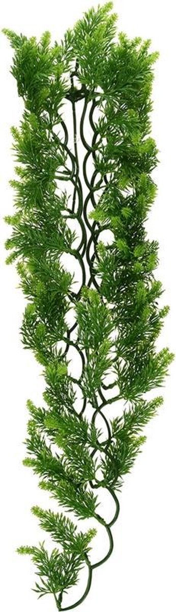Zoomed Naturalistic Flora - Malasian Fern - Large