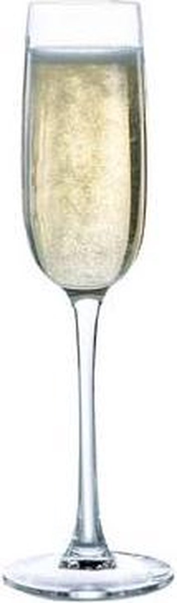 Versailles champagneglas - 16cl - 6 stuks