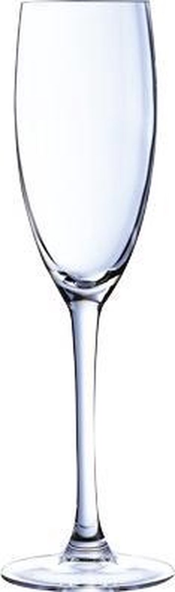 Cabernet champagneglas - 16cl - 6 stuks