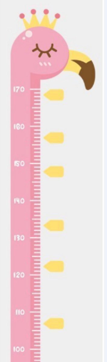 groeimeter sticker - muursticker - meetlat - kinderkamer decoratie - babykamer accessoires - Blijderij