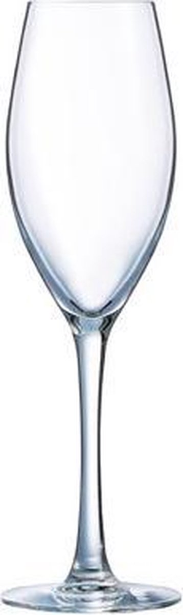 Felicity champagneglas - champagneglazen - 3 stuks - 22cl
