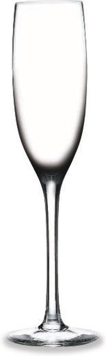 RONA - Champagne flute 15cl "Edition" Kristal (6 stuks)