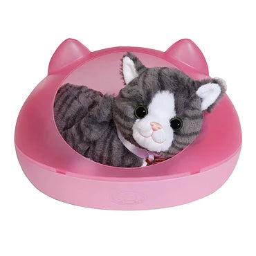 BABY born Mijn Kat Cookie met Doos