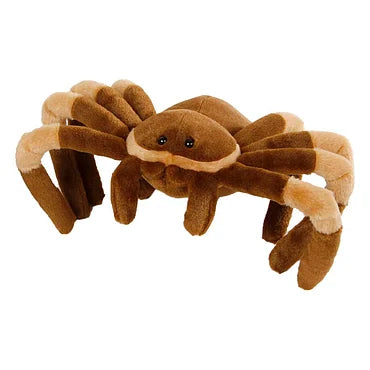 Jungle Expedition Knuffel Pluche - Spin Bruin