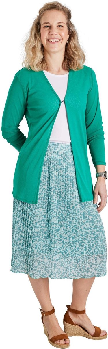 Dames rok plisse panter mint kort | Maat Onze size