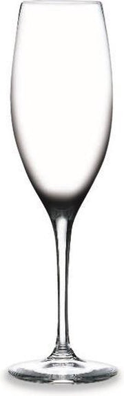 RONA - Champagne flute 23cl "Edition" Kristal (6 stuks)