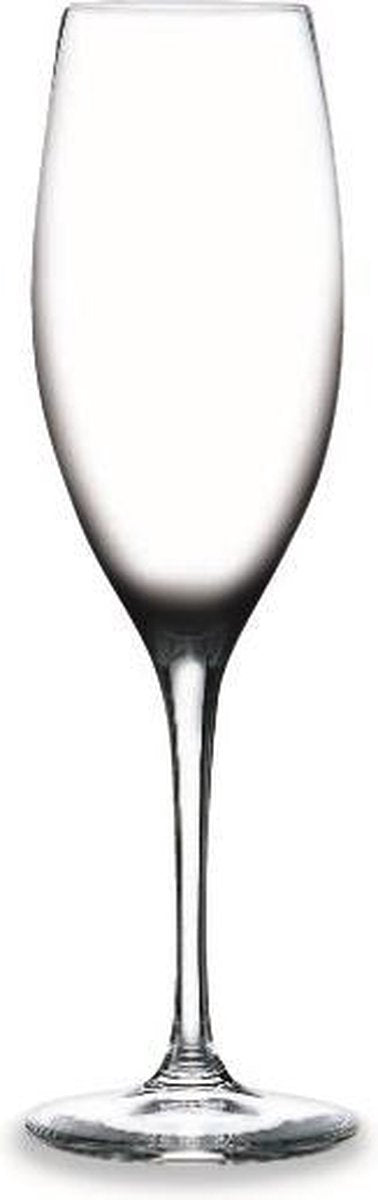 RONA - Champagne flute 23cl "Edition" Kristal (6 stuks)