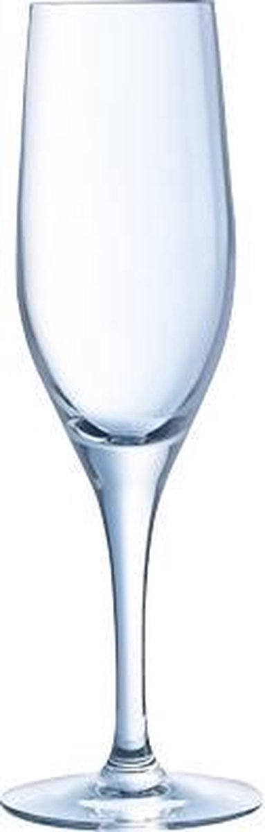 Sensation exalt champagneglas - 19cl - 6 stuks