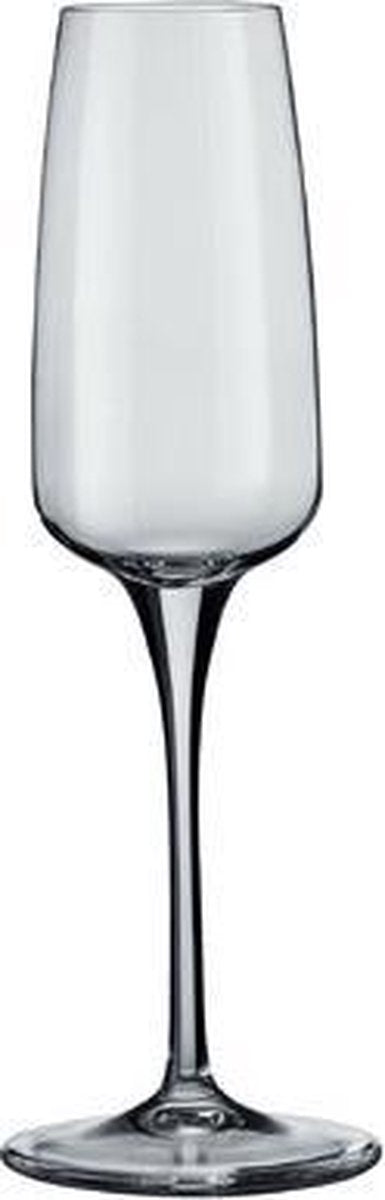 Aurum champagneglas - 23cl - 6 stuks