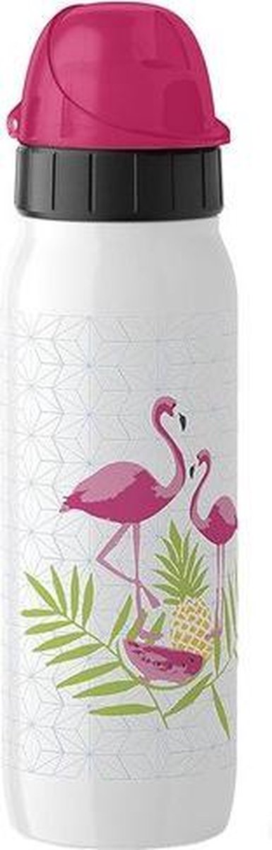 Emsa Teens geïsoleerde drinkfles ISO 2 GO