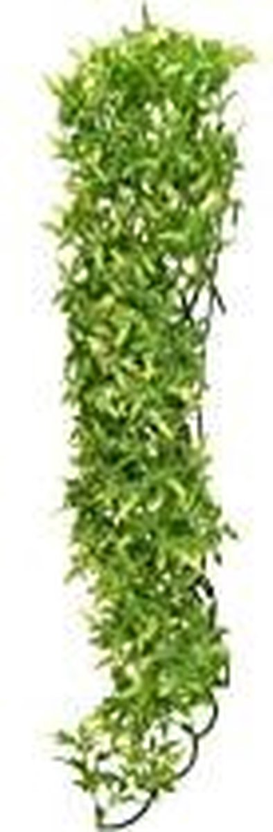 ZooMed - naturalistic flora - bolivian croton - small - terrariumplant
